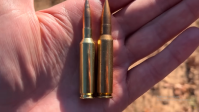 308 vs 6.5 creedmoor