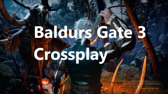 Baldur's Gate 3 crossplay