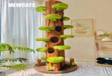 Cat Trees