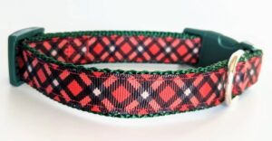 Collars Helped Shelter Dogs