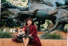 xinyi teng bank of america