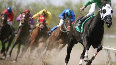 Top Horse Racing Live Streaming Malaysia Site Free Watching