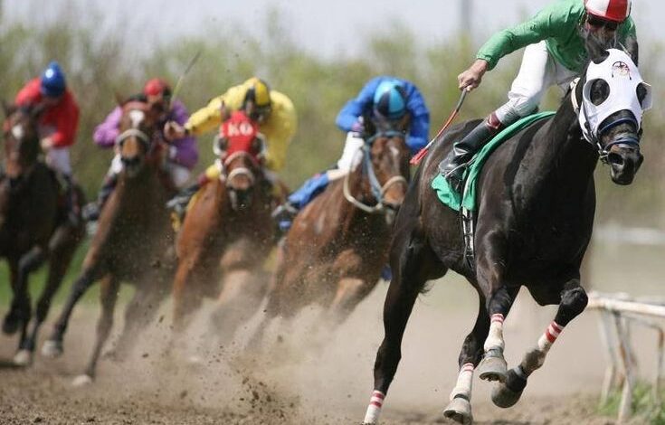 Top Horse Racing Live Streaming Malaysia Site Free Watching