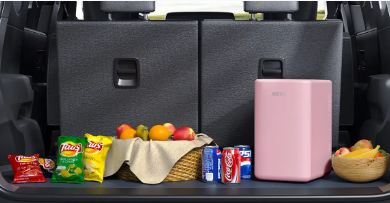 How to Install a Mini Fridge in Your Car for Ultimate Convenience