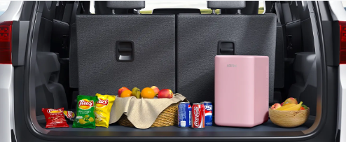 How to Install a Mini Fridge in Your Car for Ultimate Convenience