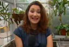 alice bhandhukravi