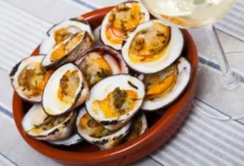 Scallops