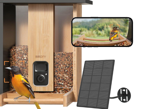 Video Camera Bird Feeder