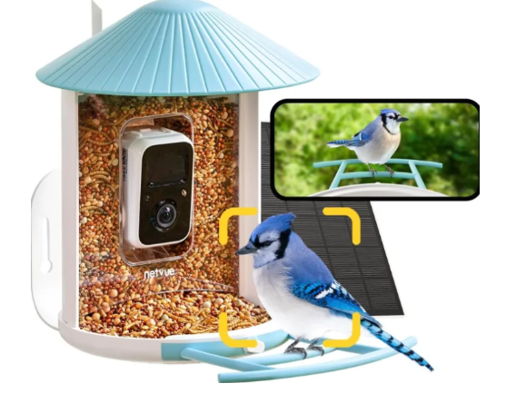 Best Smart Feeders