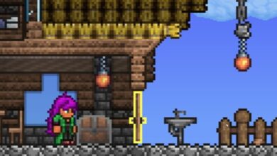 Terraria