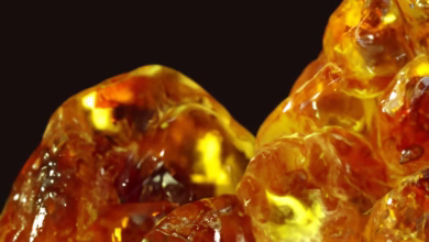 Amber Teething Jewelry