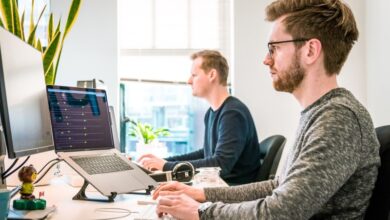 Blockchain Developers