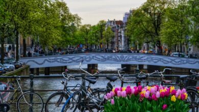 English-Speaking Jobs in the Netherlands
