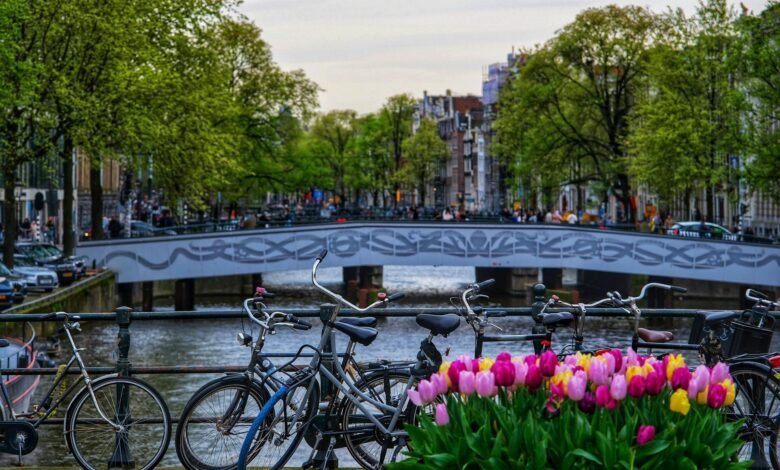 English-Speaking Jobs in the Netherlands