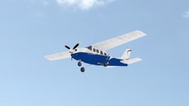 Flight Sim Training