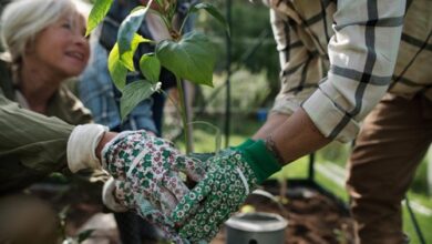 Gardening Together