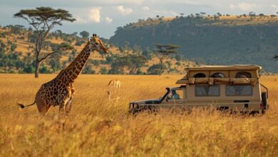 TANZANIA