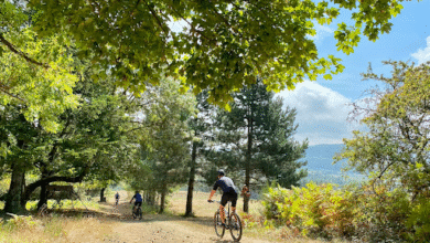 Ultimate Mountain Bike