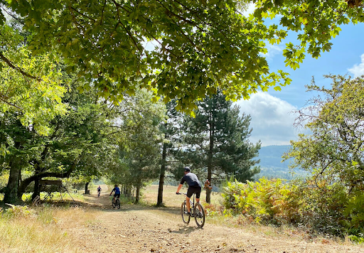 Ultimate Mountain Bike