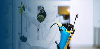 Why Biohazard Cleanup in Long Beach is Crucial for Your Safety