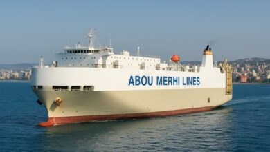 abou merhi lines