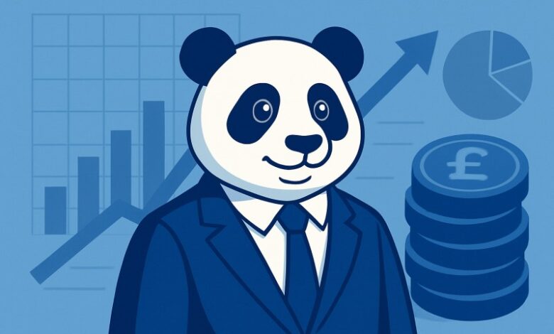 blue panda finance