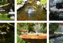 Small Pond