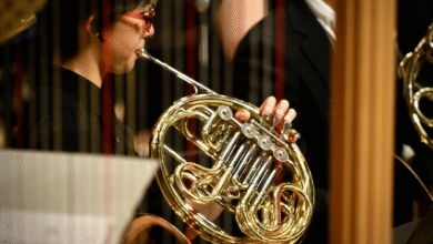 A Beginner's Guide to Choosing Your First French Horn