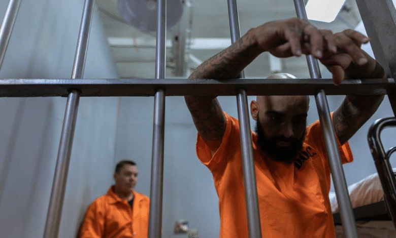 Bail Bond Process