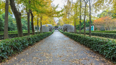 How to Get Started on Pre-Planning for Funeral Services