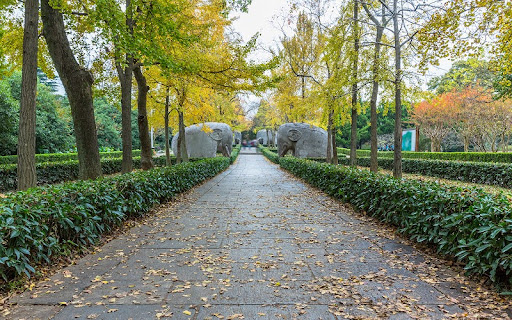 How to Get Started on Pre-Planning for Funeral Services