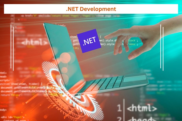 NET Development