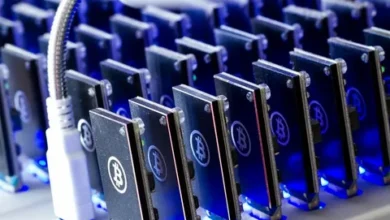 Shocking! Bow Miner cloud mining income revealed