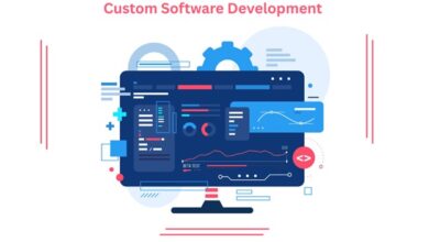 Software Development