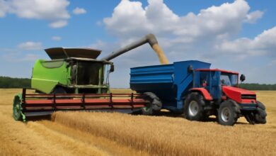 UK Farming