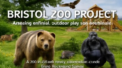 bristol zoo project