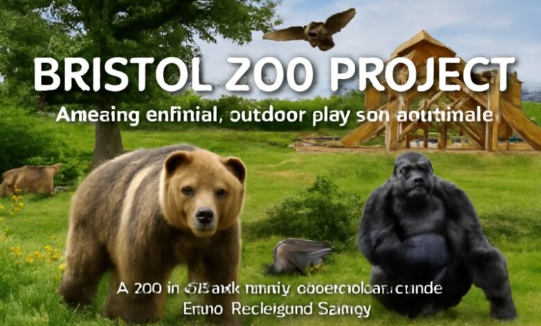 bristol zoo project