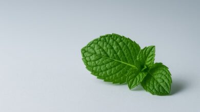 mint-enhanced