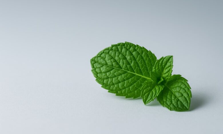 mint-enhanced