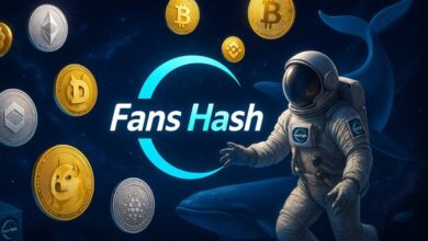 Cloud Mining Pioneer