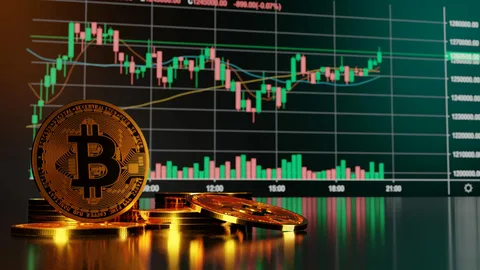From BTC to CBDC