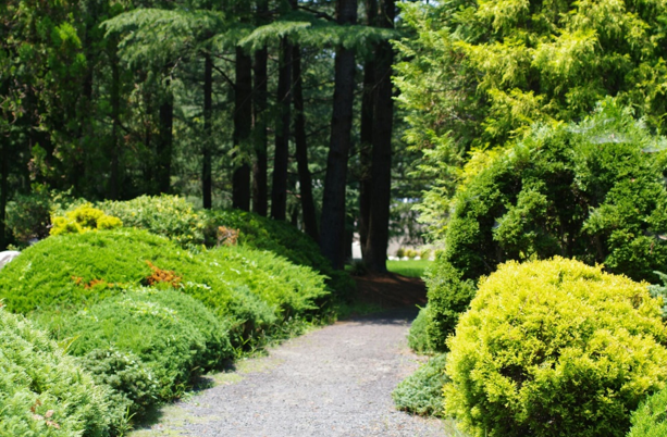 Landscaping Services