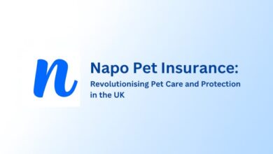 napo pet insurance