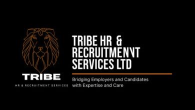 tribe hr & recruitment services ltd
