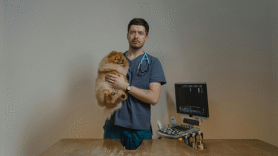 How Expert Compounding Solutions Improve Veterinary Medications