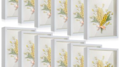 Shadow Boxes
