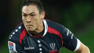 gareth delve rugby
