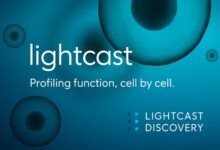 lightcast discovery