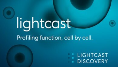 lightcast discovery