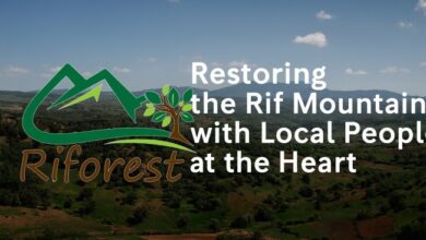 riforest